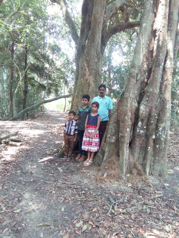 Wayanad Homestay Mananthavady Luaran gambar